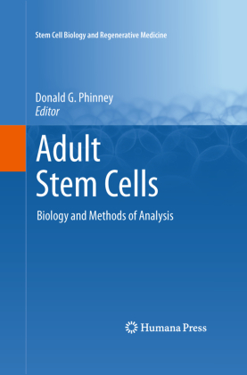 Adult Stem Cells 