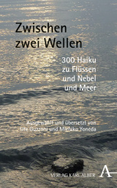 kein Cover