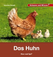 kein Cover