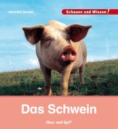 kein Cover