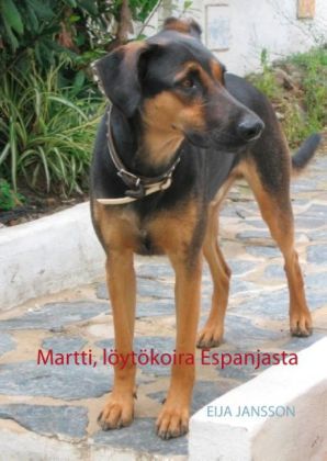 Martti, löytökoira Espanjasta 