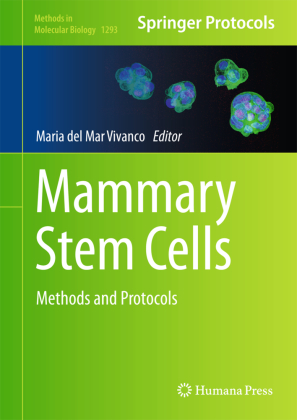 Mammary Stem Cells 