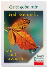 kein Cover