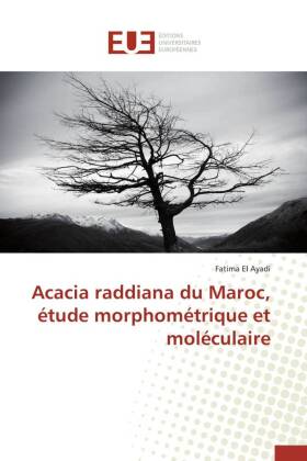 Acacia raddiana du Maroc, étude morphométrique et moléculaire 