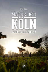 kein Cover