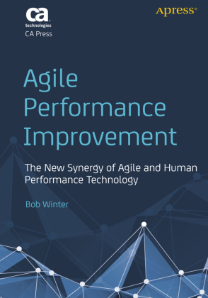 Agile Performance Improvement 