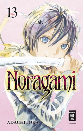 Noragami 13