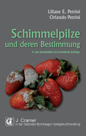 kein Cover