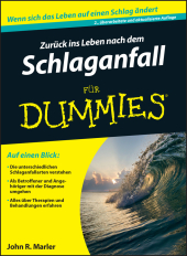 kein Cover