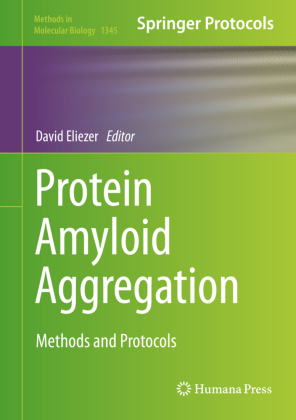 Protein Amyloid Aggregation 