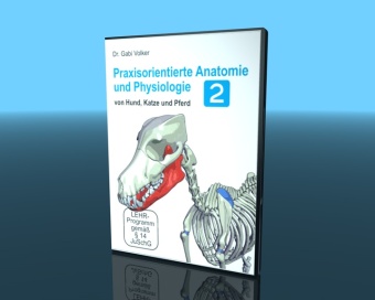 Praxisorientierte Anatomie und Physiologie von Hund, Katze und Pferd, 1 DVD 