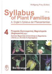 Pinopsida (Gynosperms) Magnoliopsida (Angiosperms) p.p.