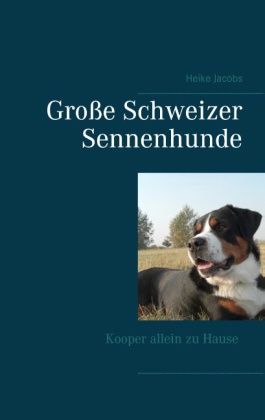 Große Schweizer Sennenhunde-Kooper allein zu Hause 