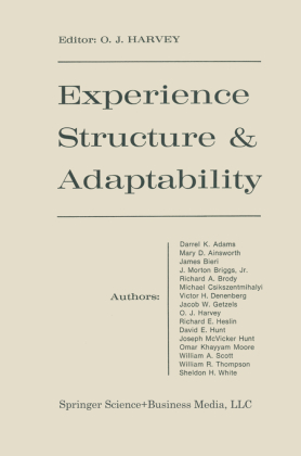 Experience Structure & Adaptability 