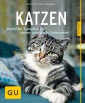 Katzen Cover