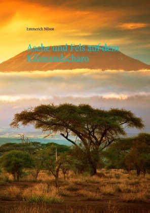Asche und Fels auf dem Kilimandscharo 