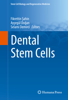 Dental Stem Cells 