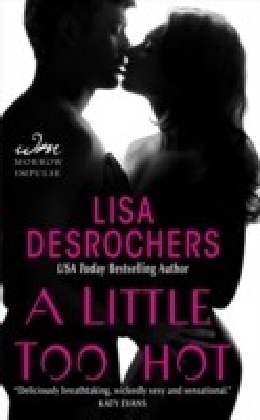 Little Too Hot von Lisa Desrochers ISBN 978 0 06 229905 5 E