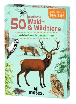 50 heimische Wald- & Wildtiere entdecken & bestimmen