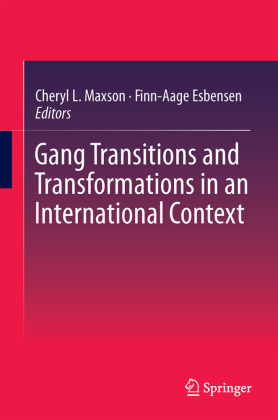 Gang Transitions and Transformations in an International Context 