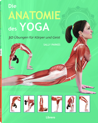 Die Anatomie des Yoga 