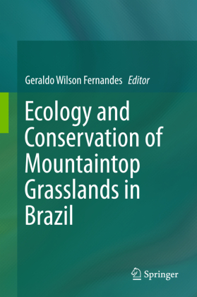 Ecology and Conservation of mountain-top grasslands in Brazil 