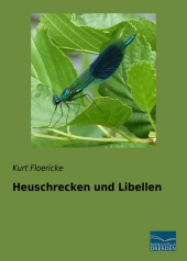 kein Cover