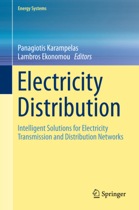 Electricity Distribution 