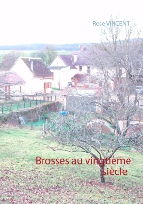 Brosses au vingtième siècle 