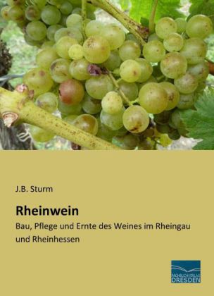 Rheinwein 
