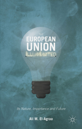 The European Union Illuminated 