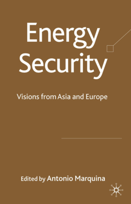 Energy Security 