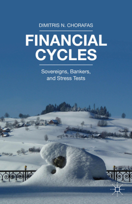 Financial Cycles 