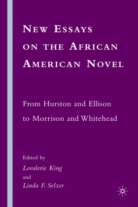 New Essays on the African American Novel 