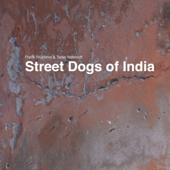 Street Dogs of India 