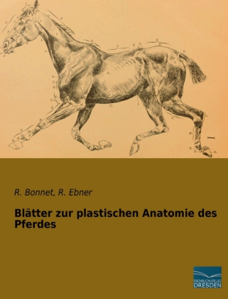 Blätter zur plastischen Anatomie des Pferdes 
