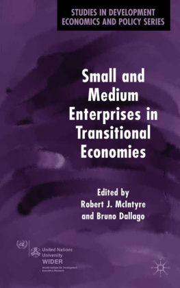 Small and Medium Enterprises in Transitional Economies 