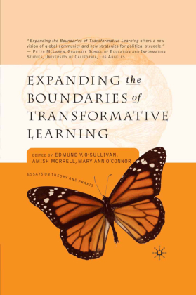 Expanding the Boundaries of Transformative Learning 