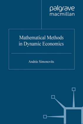 Mathematical Methods in Dynamic Economics 