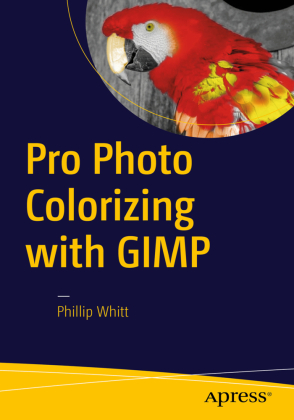 Pro Photo Colorizing with GIMP 