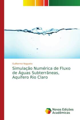 Simulação Numérica de Fluxo de Águas Subterrâneas, Aquífero Rio Claro 