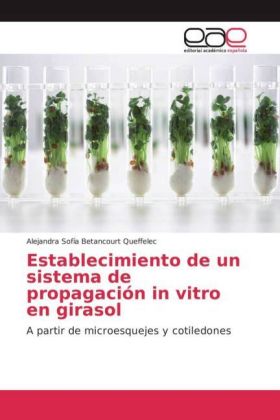 Establecimiento de un sistema de propagación in vitro en girasol 