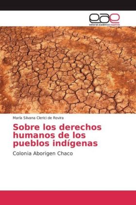 Sobre los derechos humanos de los pueblos indígenas 