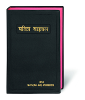 Bibel Hindi / Holy Bible Hindi, traditionelle Übersetzung