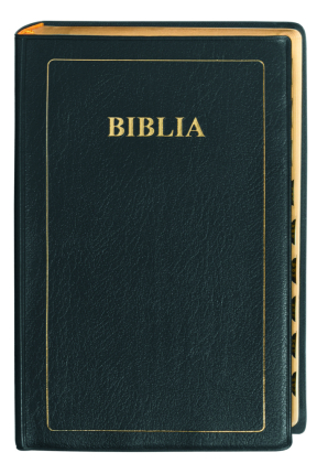 Bibel Suaheli - Bible in Kiswahili, Übersetzung: Union Version,Traditionell