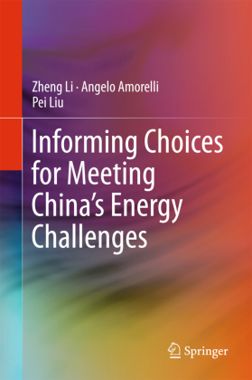 Informing Choices for Meeting China's Energy Challenges 