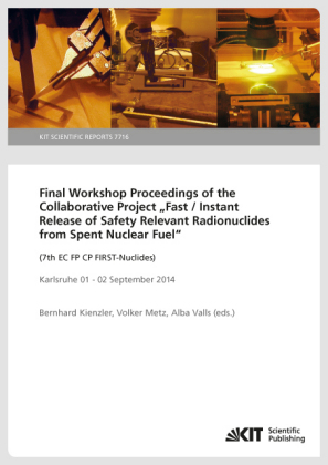 Final Workshop Proceedings of the Collaborative Project "Fast / Instant Release of Safety Relevant Radionuclides from Sp 