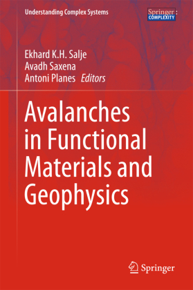 Avalanches in Functional Materials and Geophysics 
