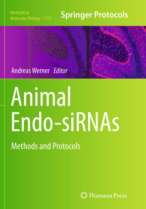 Animal Endo-SiRNAs 