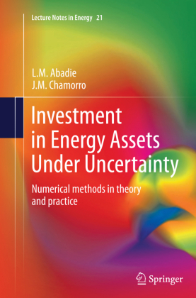 Investment in Energy Assets Under Uncertainty 